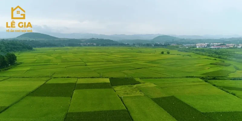 quy định tách thửa đất Long An