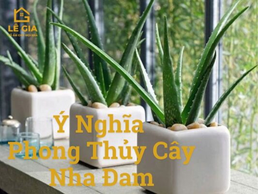 ý nghĩa phong thủy cây nha đam