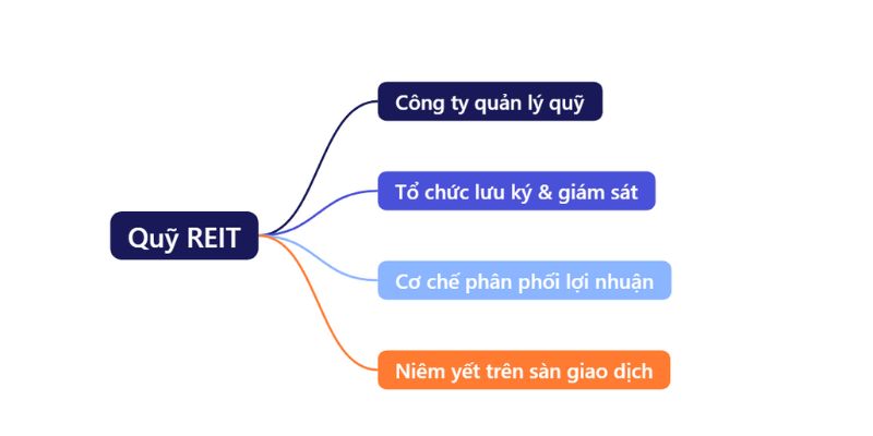 sơ đồ cấu trúc REIT