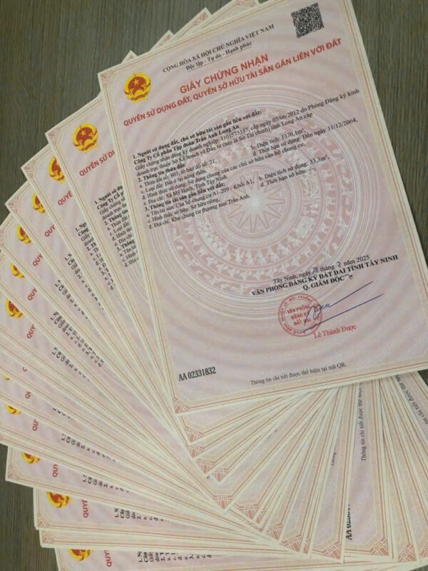 Chung Cư Phúc An Giá Rẻ Mỹ Hạnh, Đức Hòa - Giáp Hóc Môn