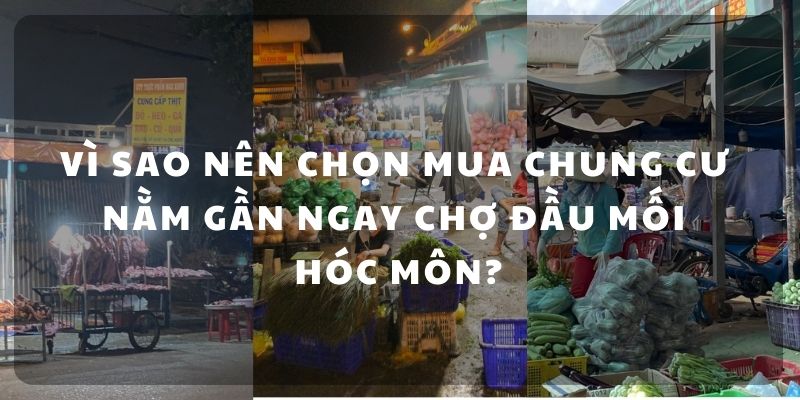 chung cư ngay chợ đầu mối Hóc Môn
