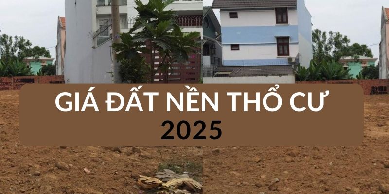 Giá đất nền thổ cư Mỹ Hạnh 2025