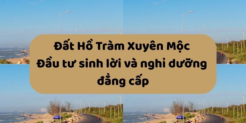 đất hồ tràm xuyên mộc
