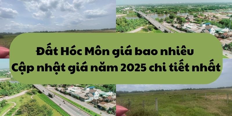 dat hoc mon gia bao nhieu