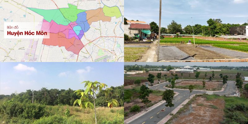 dat vuon hoc mon 300 trieu