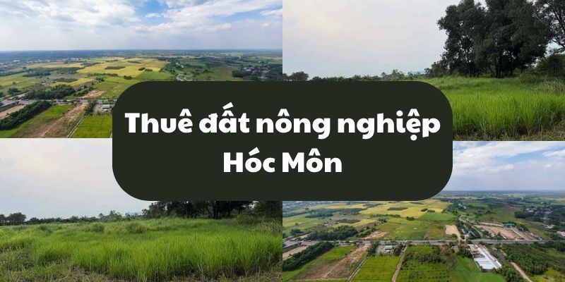 thuê đất nông nghiệp hóc môn