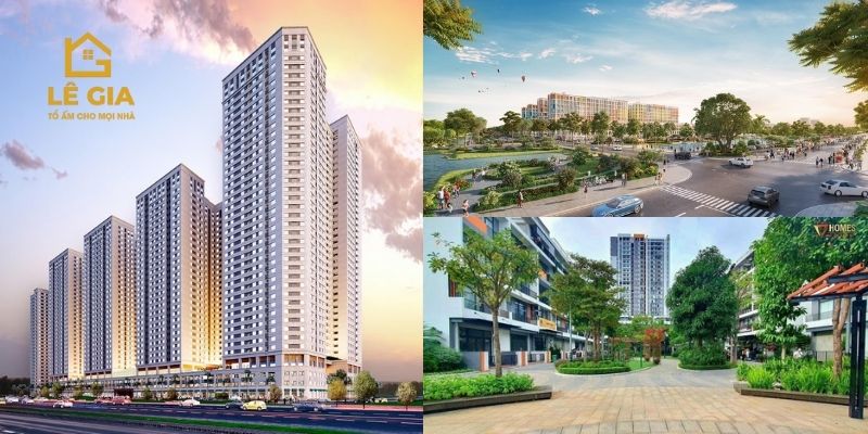 Chung Cư Mini Mỹ Hạnh Nam -Lựa Chọn Lý Tưởng Tại Long An