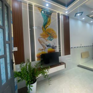 Nhà Mới Xuân Thới Sơn 20 - Hóc Môn Giá Rẻ