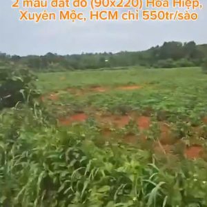 2 Mẫu Đất Đỏ Hòa Hiệp, Xuyên Mộc, TP Hồ Chí Minh