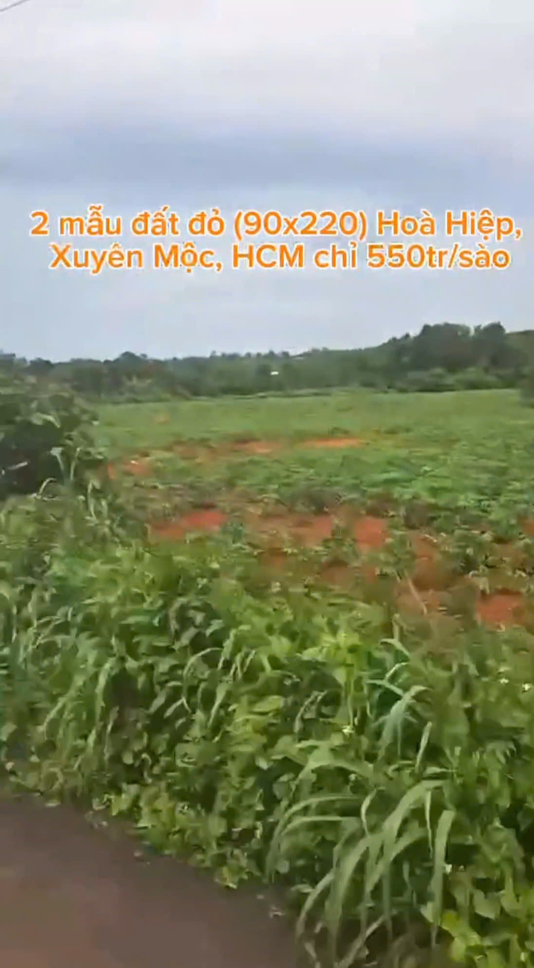 2 Mẫu Đất Đỏ Hòa Hiệp, Xuyên Mộc, TP Hồ Chí Minh