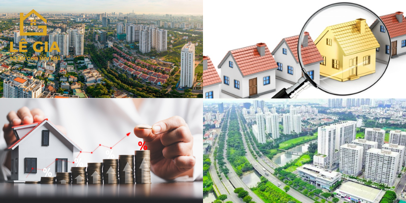 rui-ro-thi-truong-va-bien-donh-gia