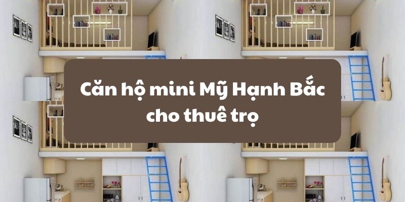 can ho mini my hanh bac