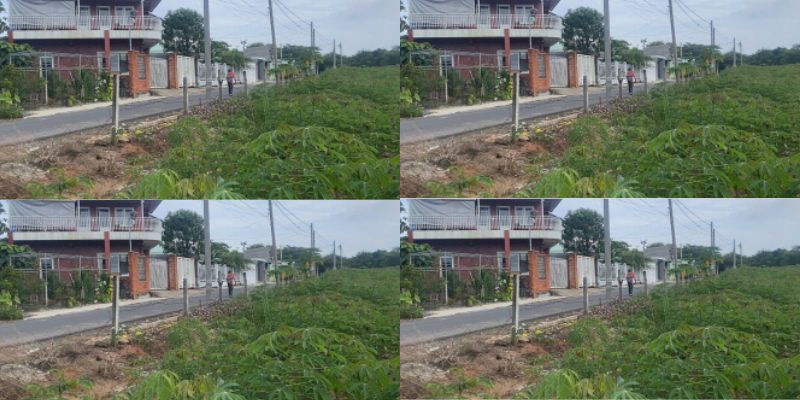 ĐẤT XUYÊN MỘC TP.HCM