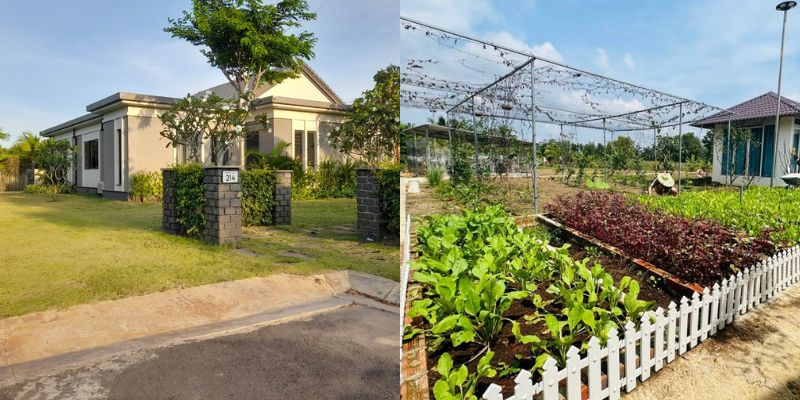 nhà vườn xuyên mộc