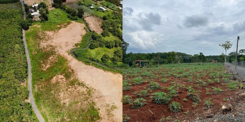 giá đất xuyên mộc