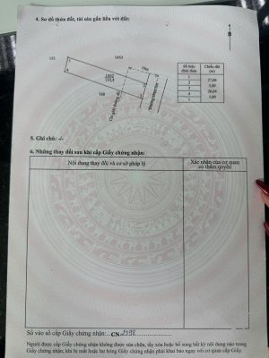 SHR căn mặt tiền Hoa Vàng