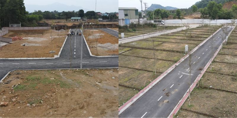 phan lo dat sao xuyen moc