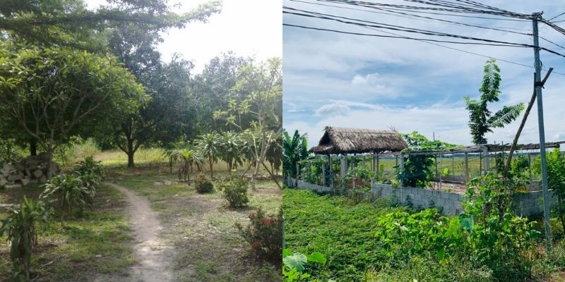 đất vườn xuyên mộc