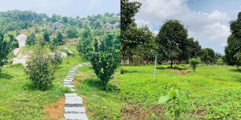 đất vườn xuyên mộc