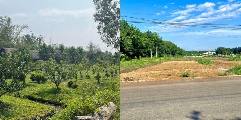 đất sào xuyên mộc