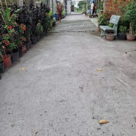 Nhà SHR Ngã 3 Mỹ Hạnh - Giáp Hóc Môn