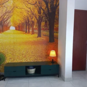 Nhà Nguyên Căn 4x15, 2 PN KDC Cát Tường Phú Sinh